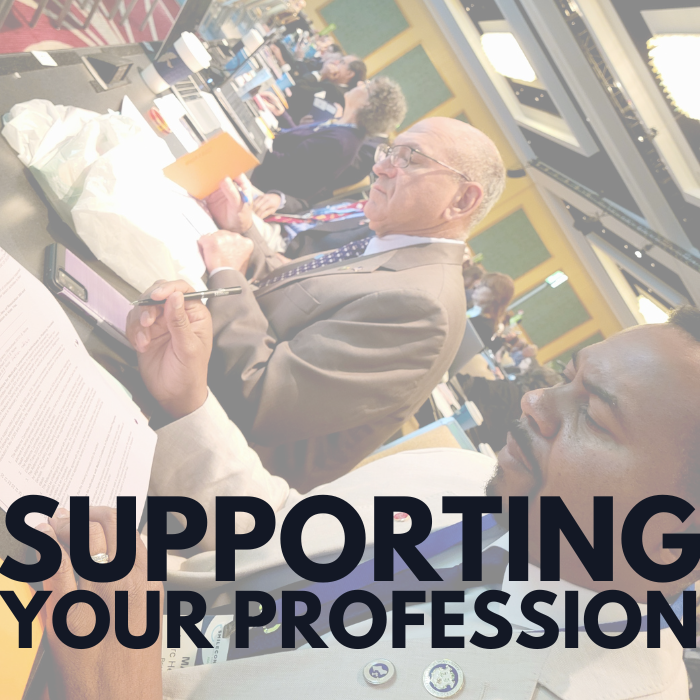 support Professional Support