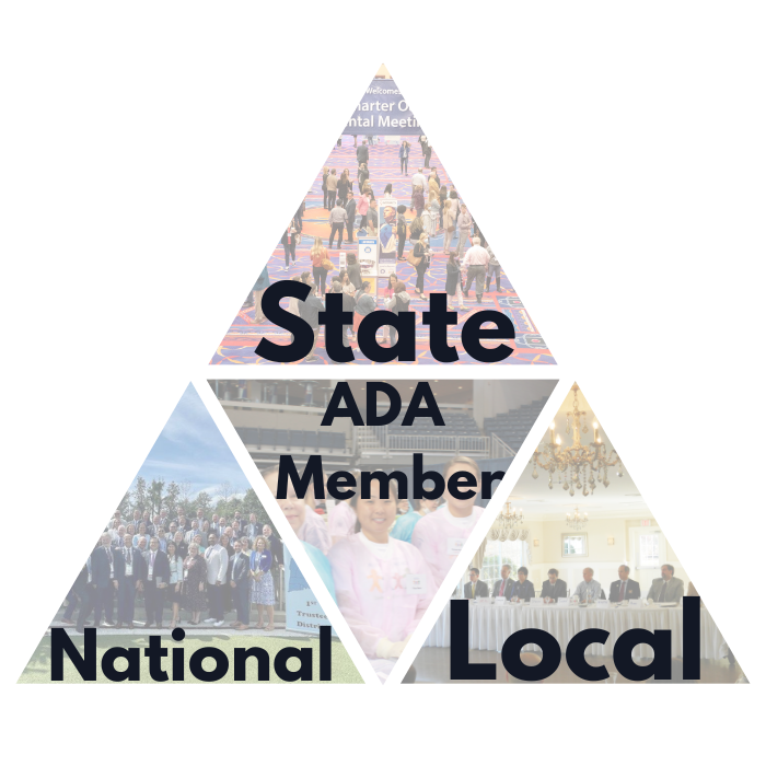 tripartite-member ADA Tripartite